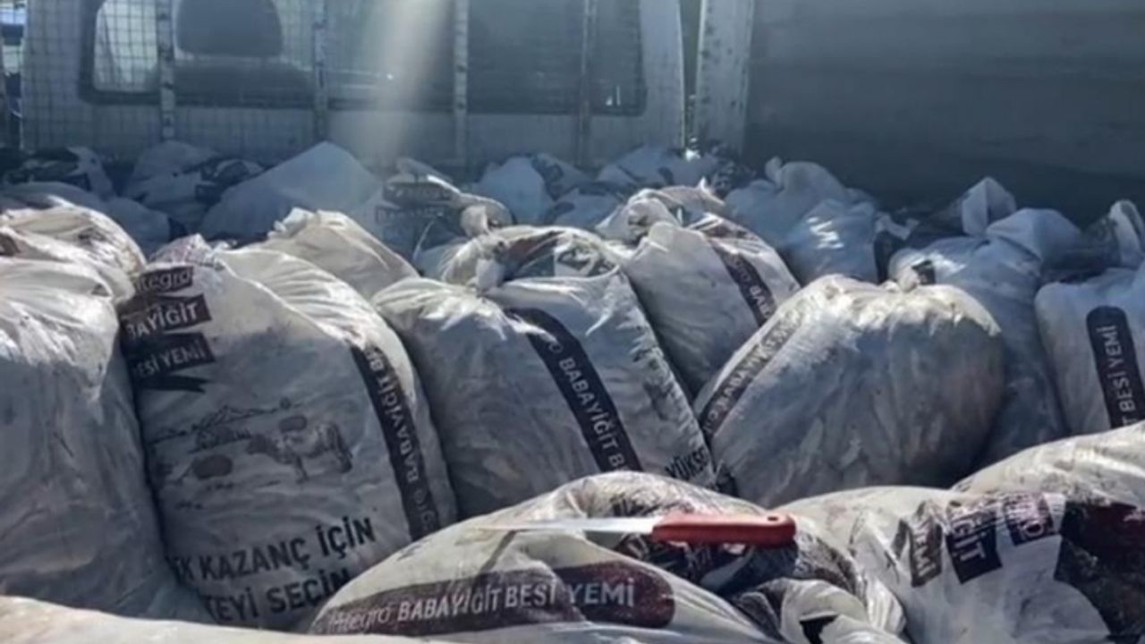 Muradiye’de kaçak avlanmış Van Balığı ele geçirildi