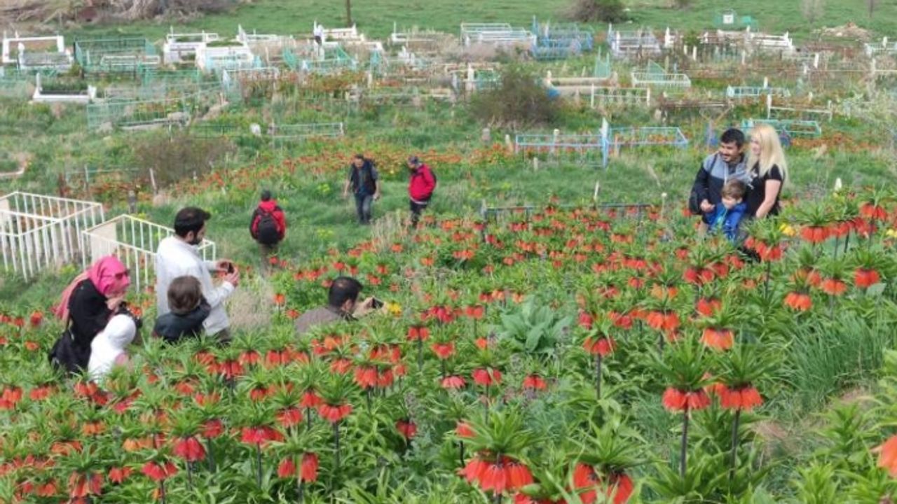 Van’ın ören yerlerine ziyaretçi akını