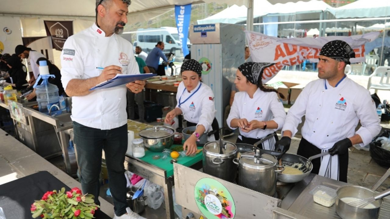 Van Gastronomi Festivali sona erdi