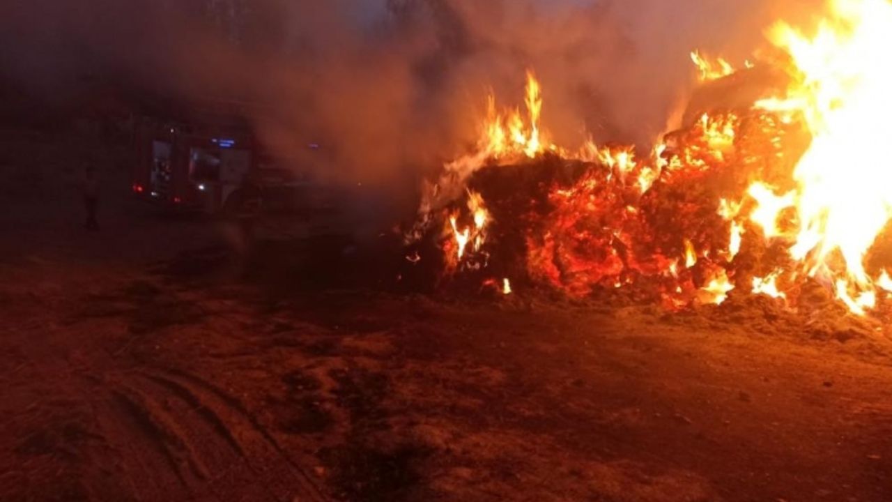Başkale’de 5 bin bağ ot yandı