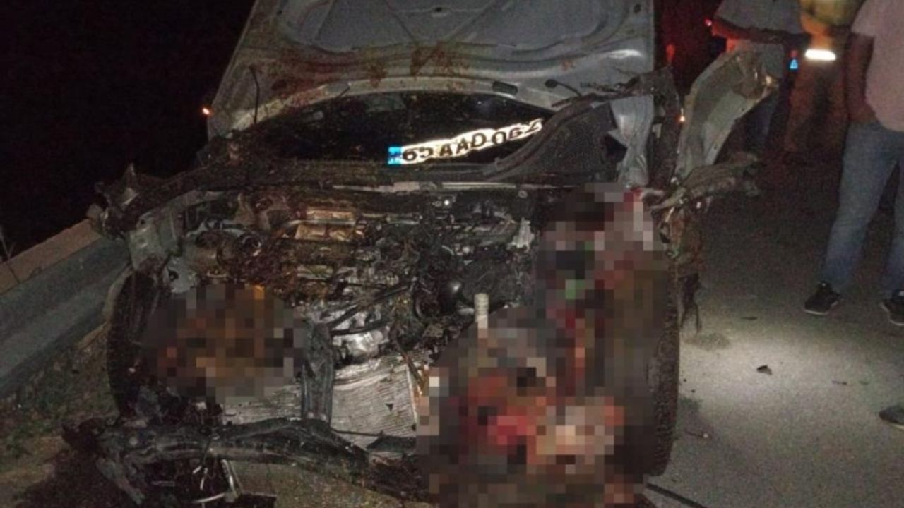 Otomobil sürüye çarptı, 26 hayvan telef oldu