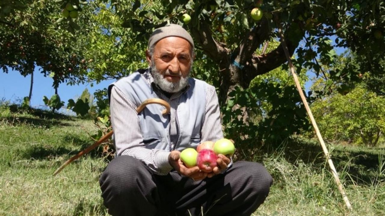 Çorak araziyi meyve bahçesine dönüştürdü