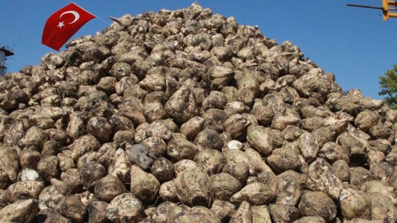 Erciş Şeker Fabrikası, pancar kuyruğu satışı yapacak