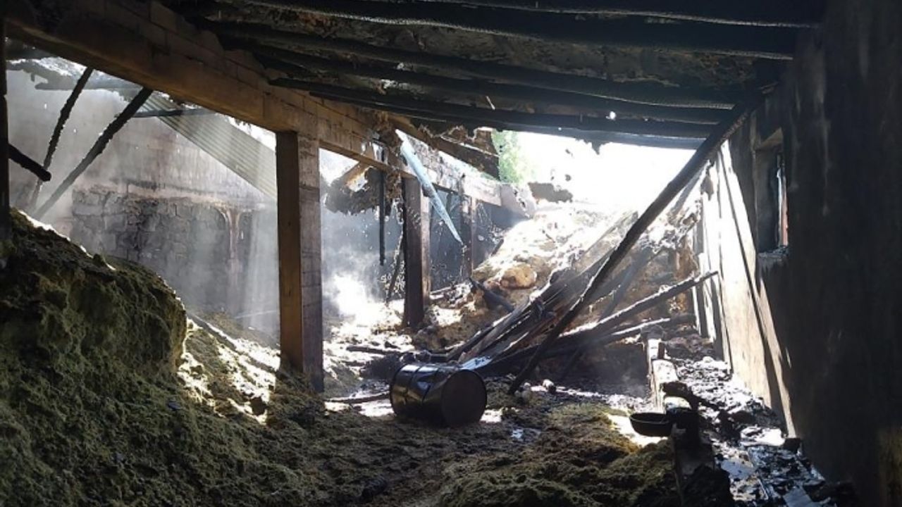 Muradiye’de 50 ton saman kül oldu