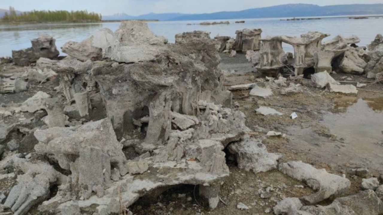 Van Gölü’nde mikrobiyalitler tamamen ortaya çıktı
