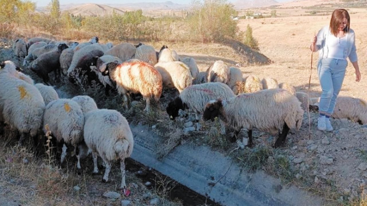 Van'da 26 projeye 2 milyon 570 bin TL destek