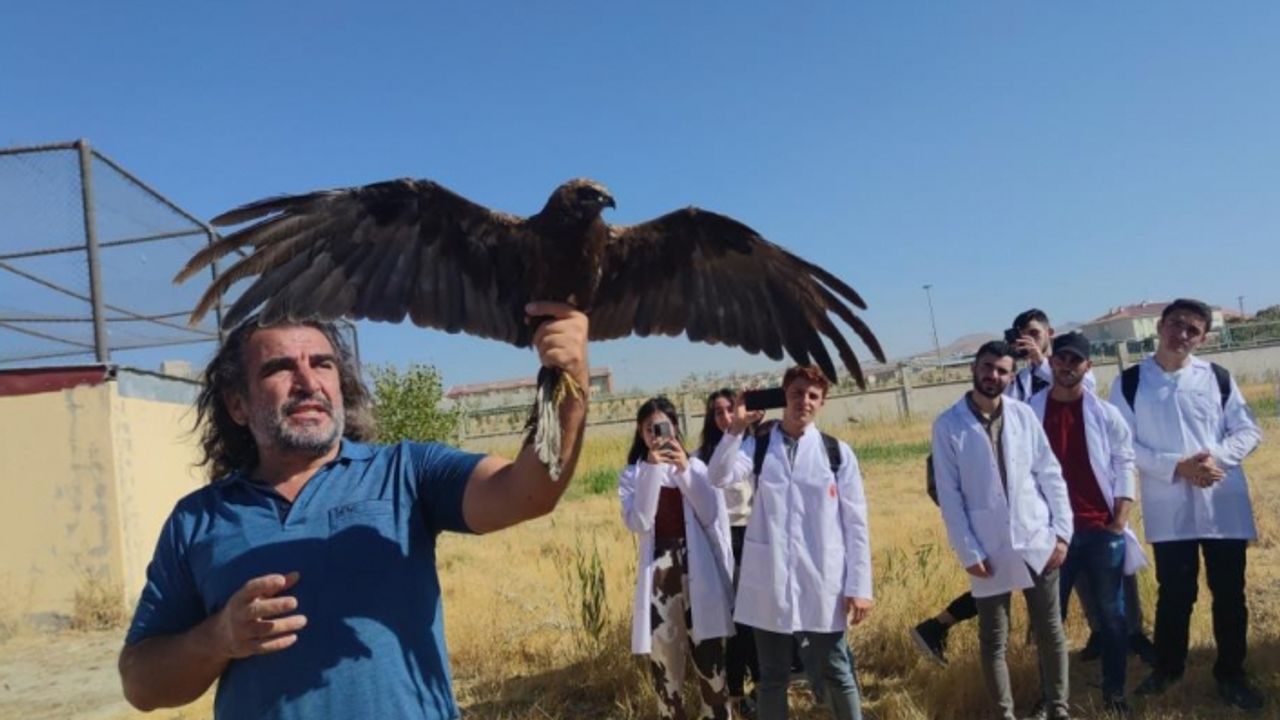 Van'da tedavileri tamamlanan hayvanlar doğaya bırakıldı