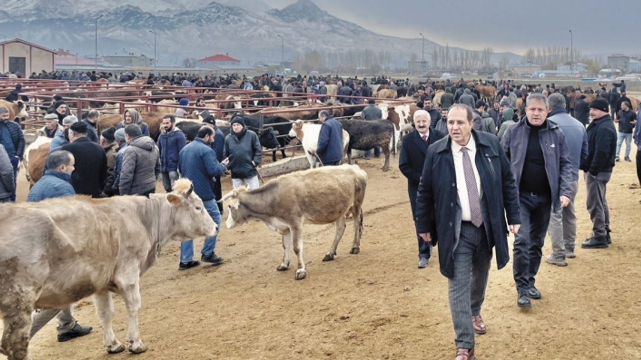Kandaşoğlu: Hayvan pazarı Van'a yakışmıyor