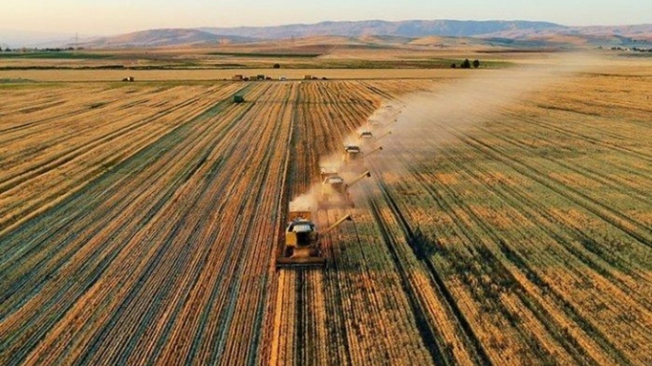 Tarım Ürünleri Üretici Fiyat Endeksi açıklandı