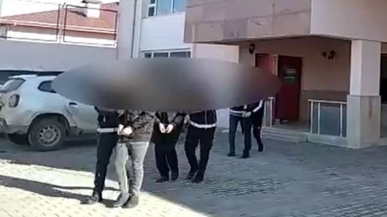 Van’da 7 organizatör tutuklandı