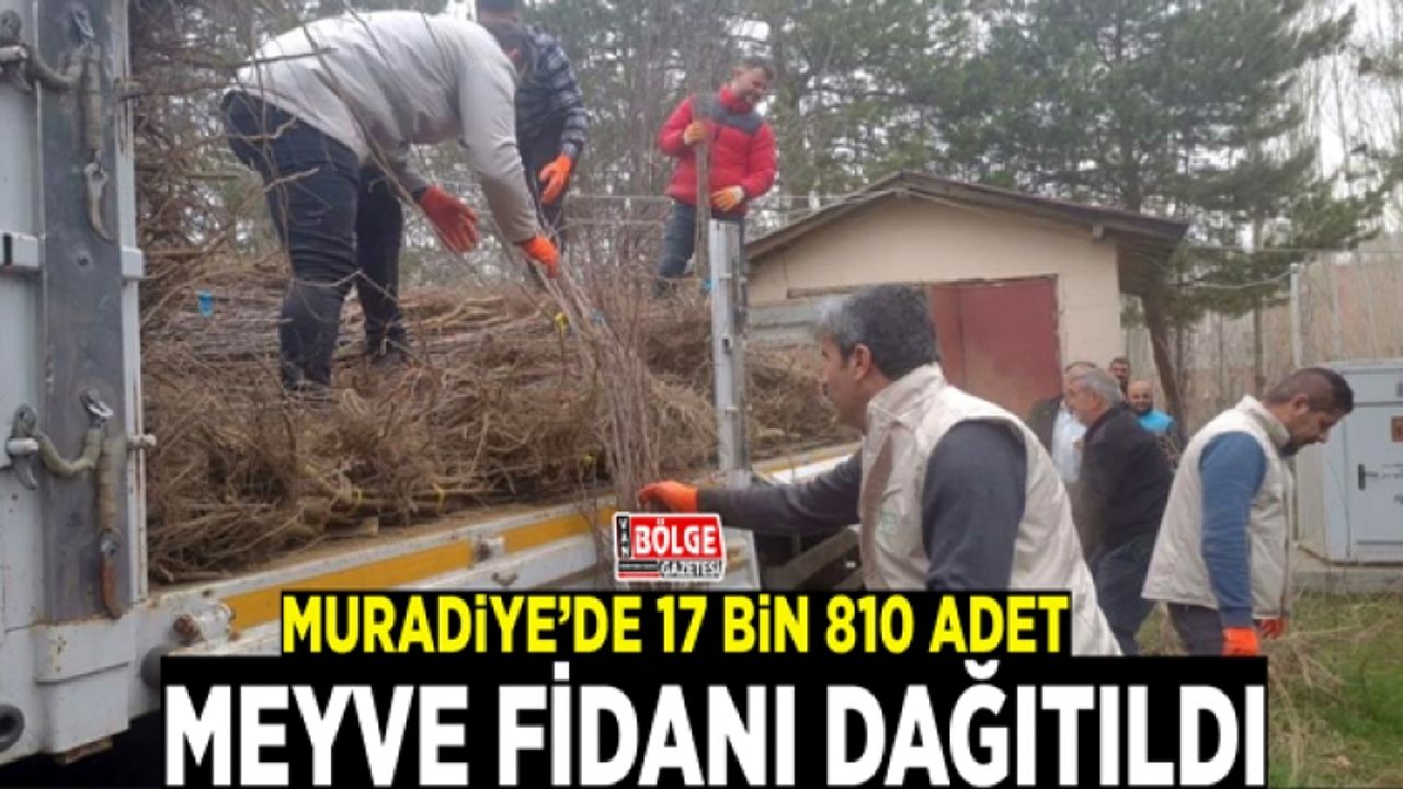 Muradiye’de 17 bin 810 adet meyve fidanı dağıtıldı