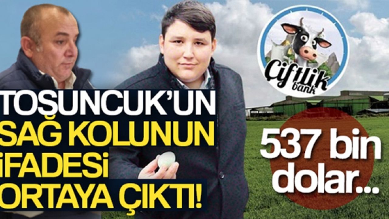 'Tosuncuk' lakaplı Mehmet Aydın'ın sağ kolu Osman Naim Kaya'nın ifadesine ulaşıldı