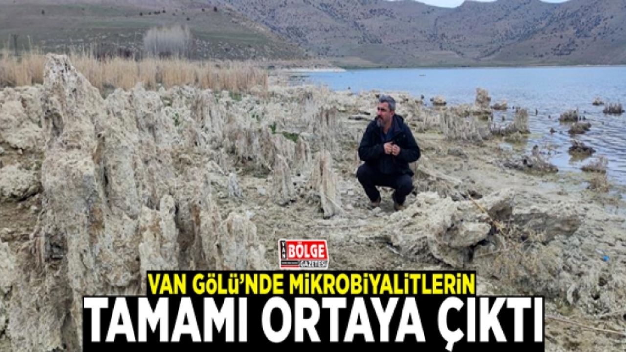 Van Gölü’nde mikrobiyalitlerin tamamı ortaya çıktı