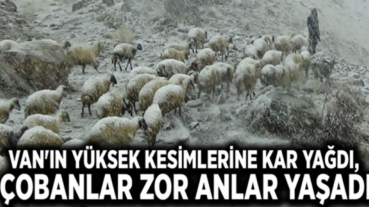 Van'ın yüksek kesimlerine kar yağdı, çobanlar zor anlar yaşadı