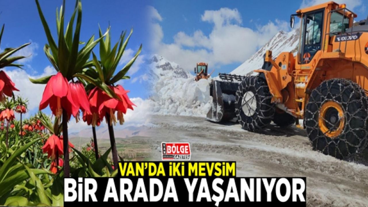 Van’da iki mevsim bir arada yaşanıyor