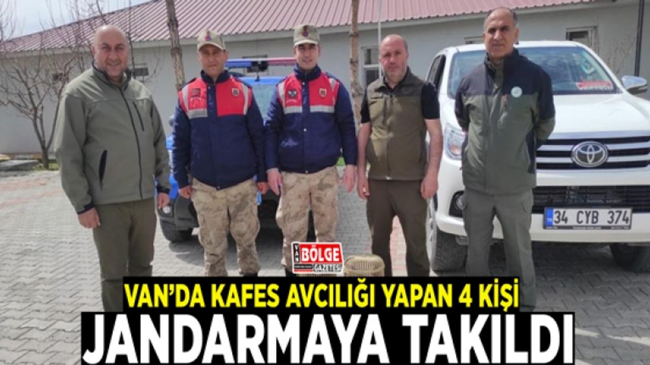 Van’da kafes avcılığı yapan 4 kişi jandarmaya takıldı