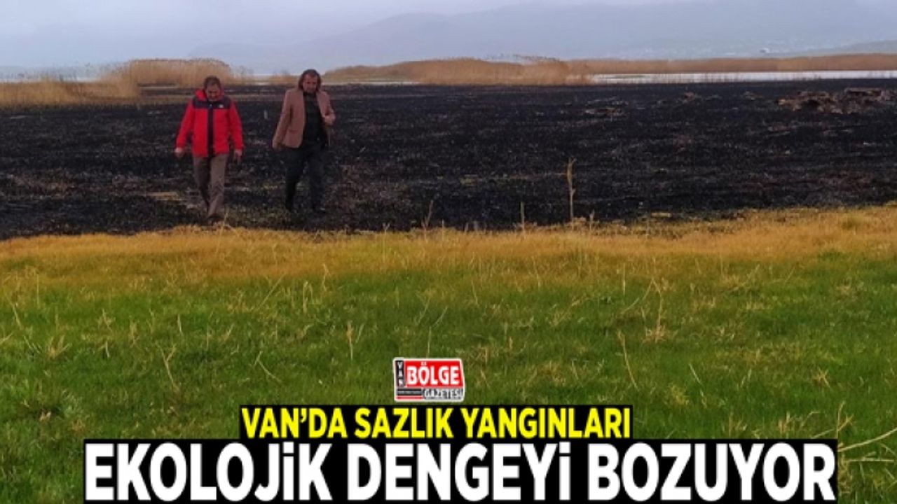 Van’da sazlık yangınları ekolojik dengeyi bozuyor