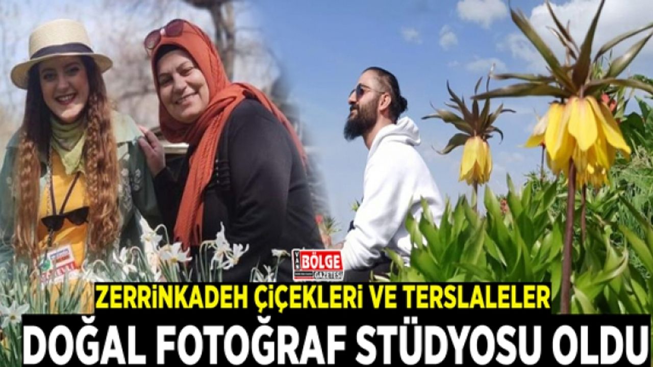 Zerrinkadeh çiçekleri ve terslaleler doğal fotoğraf stüdyosu oldu