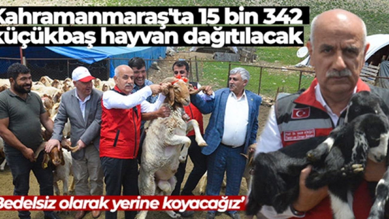 Depremzede yetiştiricilere karşılıksız 43 bin 618 hayvanın dağıtımı başladı