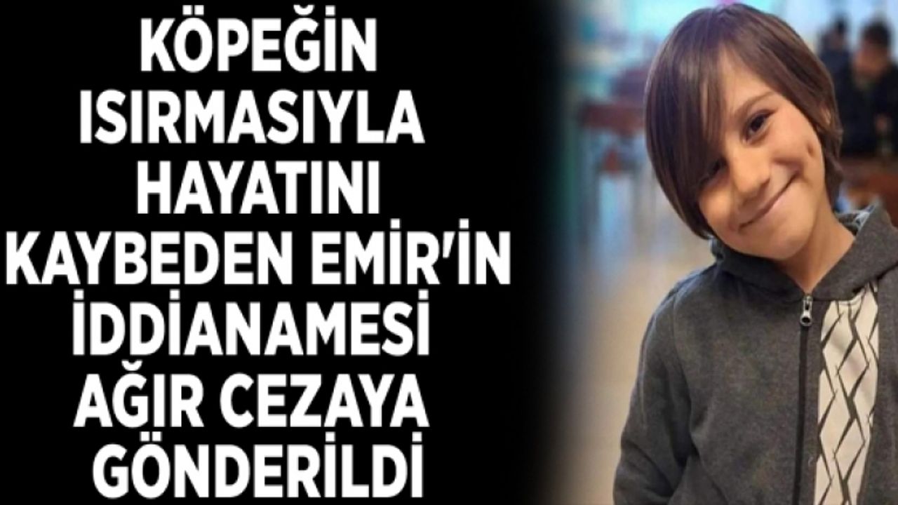 Köpeğin ısırmasıyla hayatını kaybeden Emir'in iddianamesi ağır cezaya gönderildi