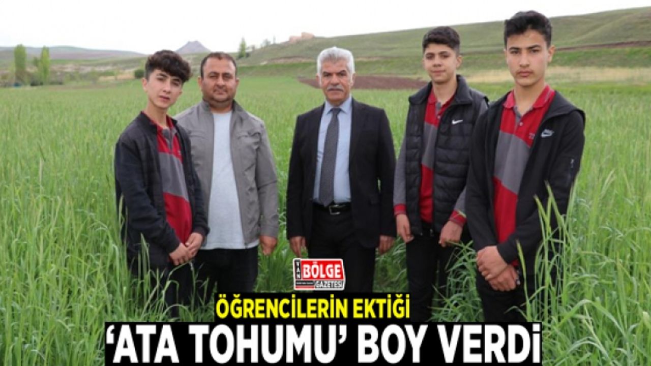 Öğrencilerin ektiği ‘ata tohumu’ boy verdi