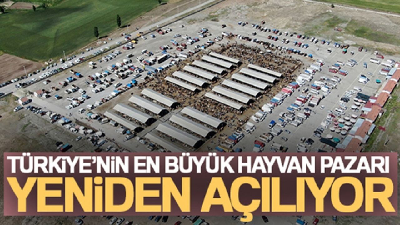Türkiye'nin en büyük hayvan pazarı yeniden açılıyor