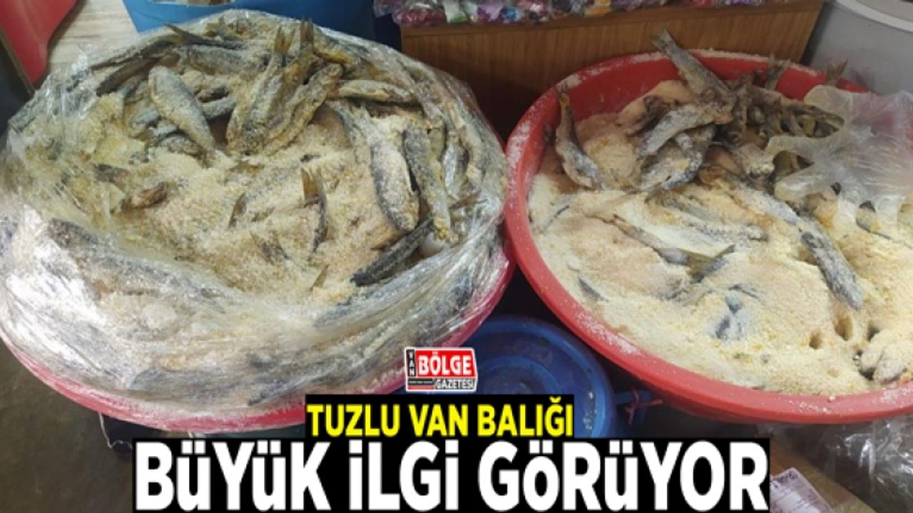 Tuzlu Van Balığı büyük ilgi görüyor