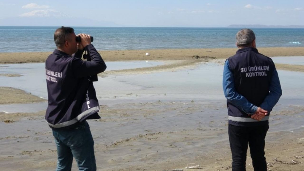 Van Balığı avcılarına göz açtırılmıyor