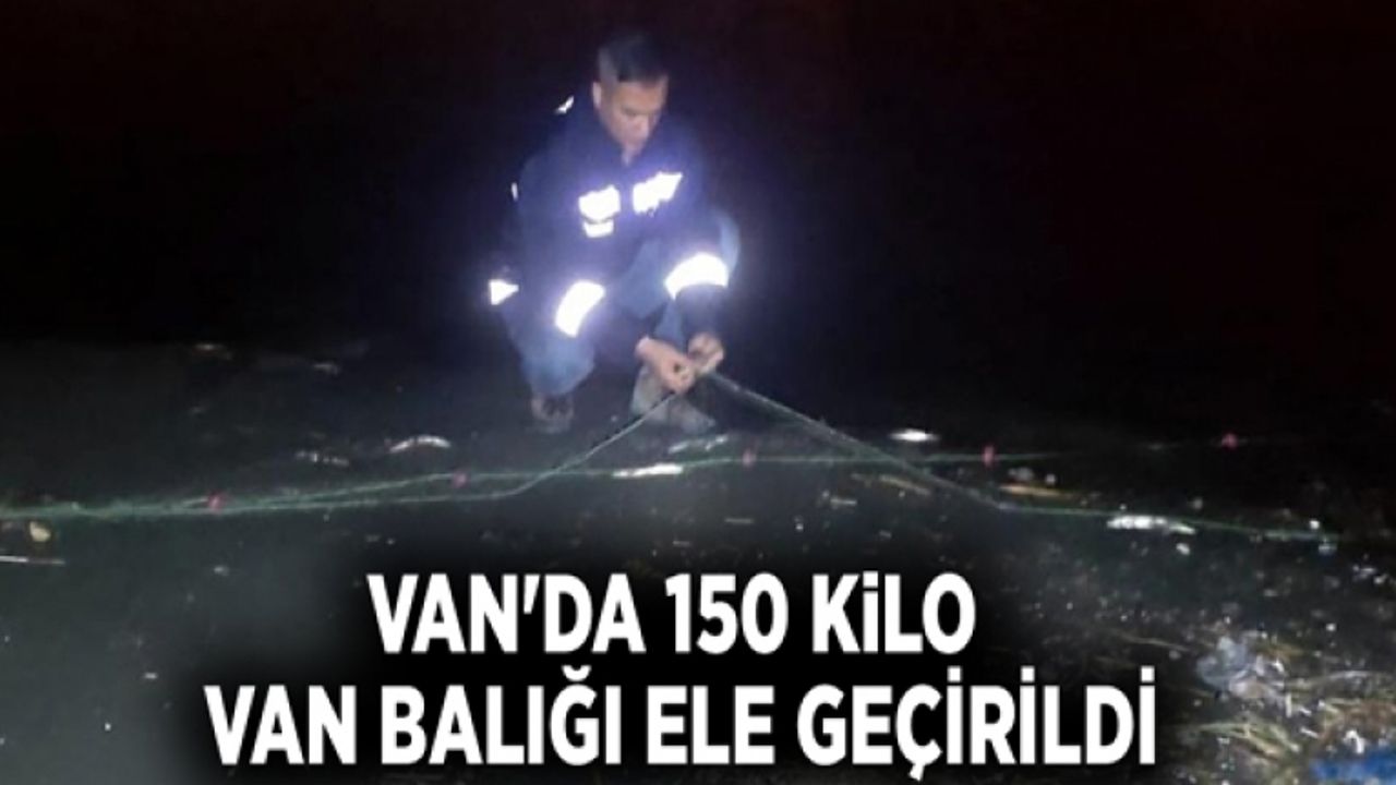 Van'da 150 kilo Van Balığı ele geçirildi