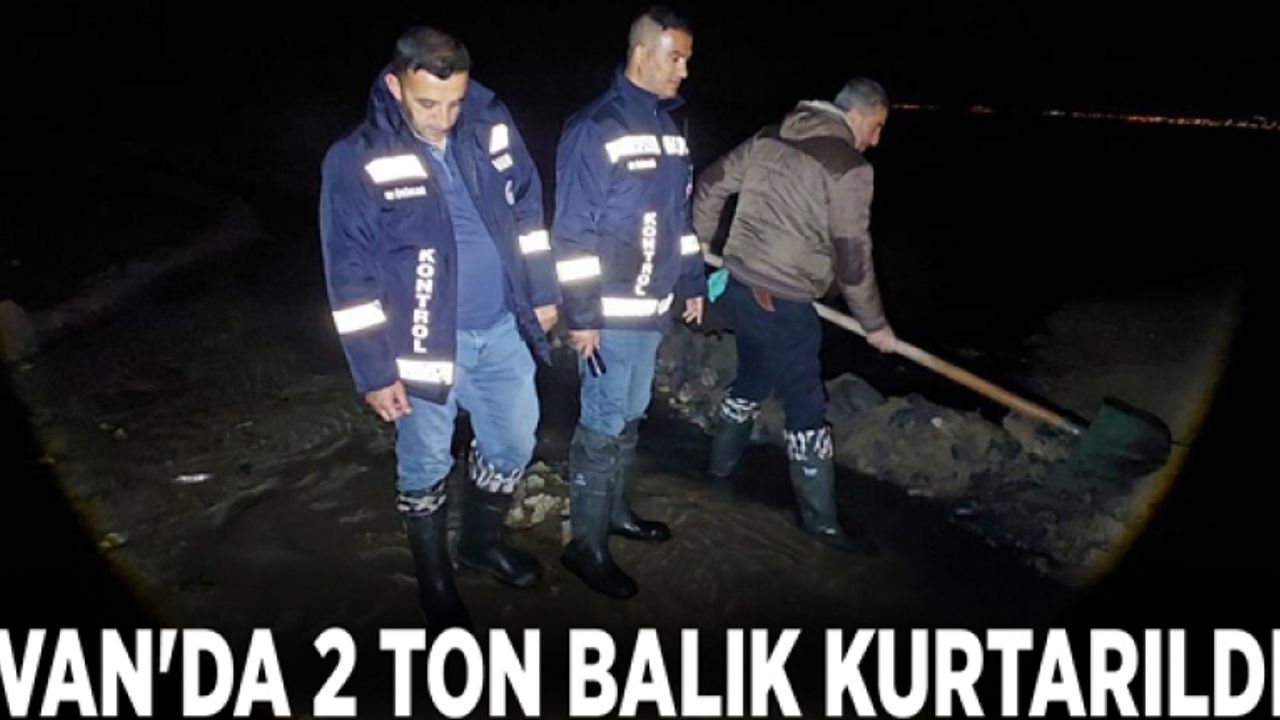 Van'da 2 ton balık kurtarıldı