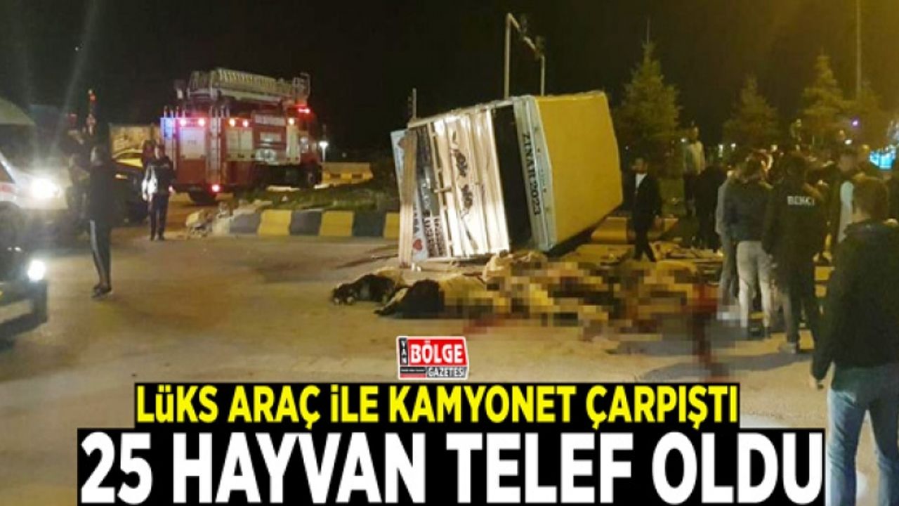 Van'da lüks araç ile kamyonet çarpıştı: 25 hayvan telef oldu