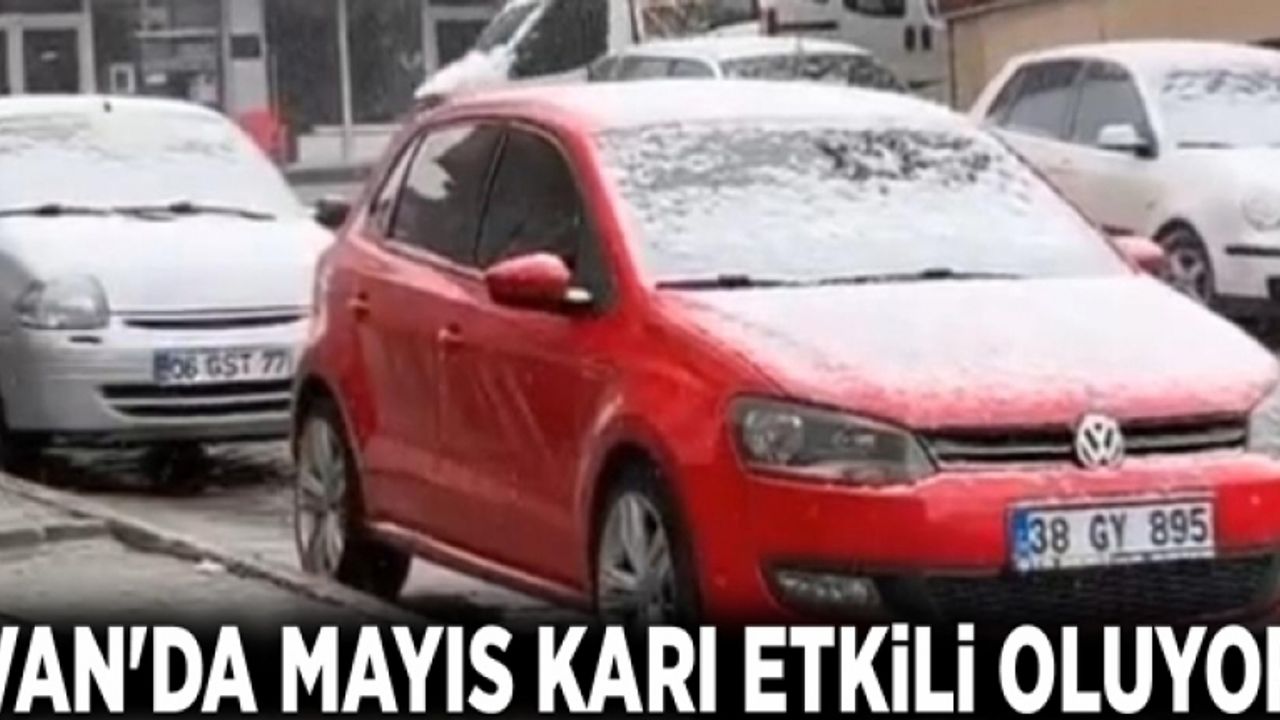 Van'da Mayıs karı etkili oluyor
