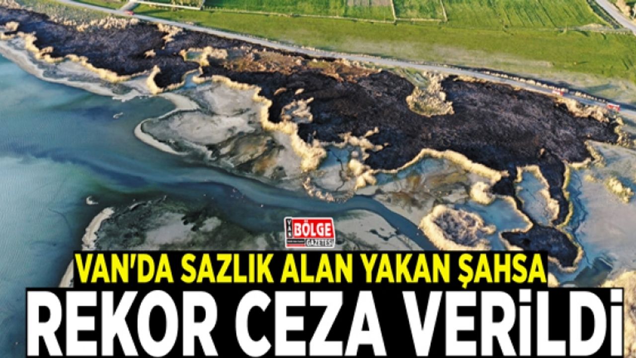 Van'da sazlık alan yakan şahsa rekor ceza verildi