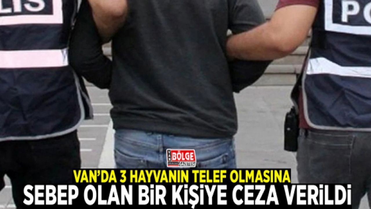 Van’da 3 hayvanın telef olmasına sebep olan bir kişiye ceza verildi