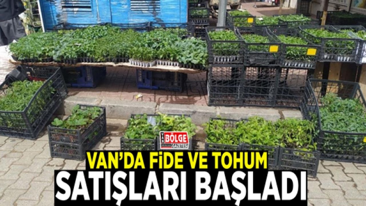 Van’da fide ve tohum satışları başladı