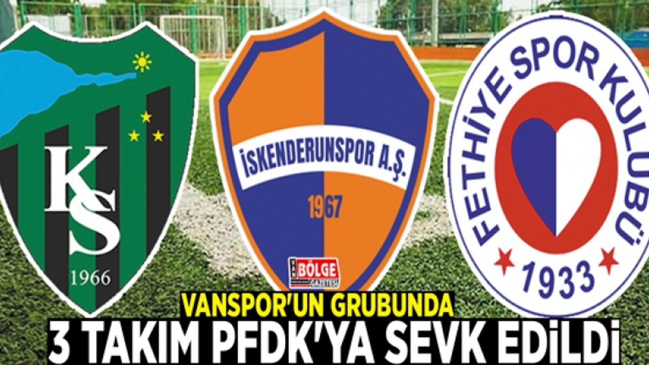 Vanspor'un grubunda 3 takım PFDK'ya sevk edildi