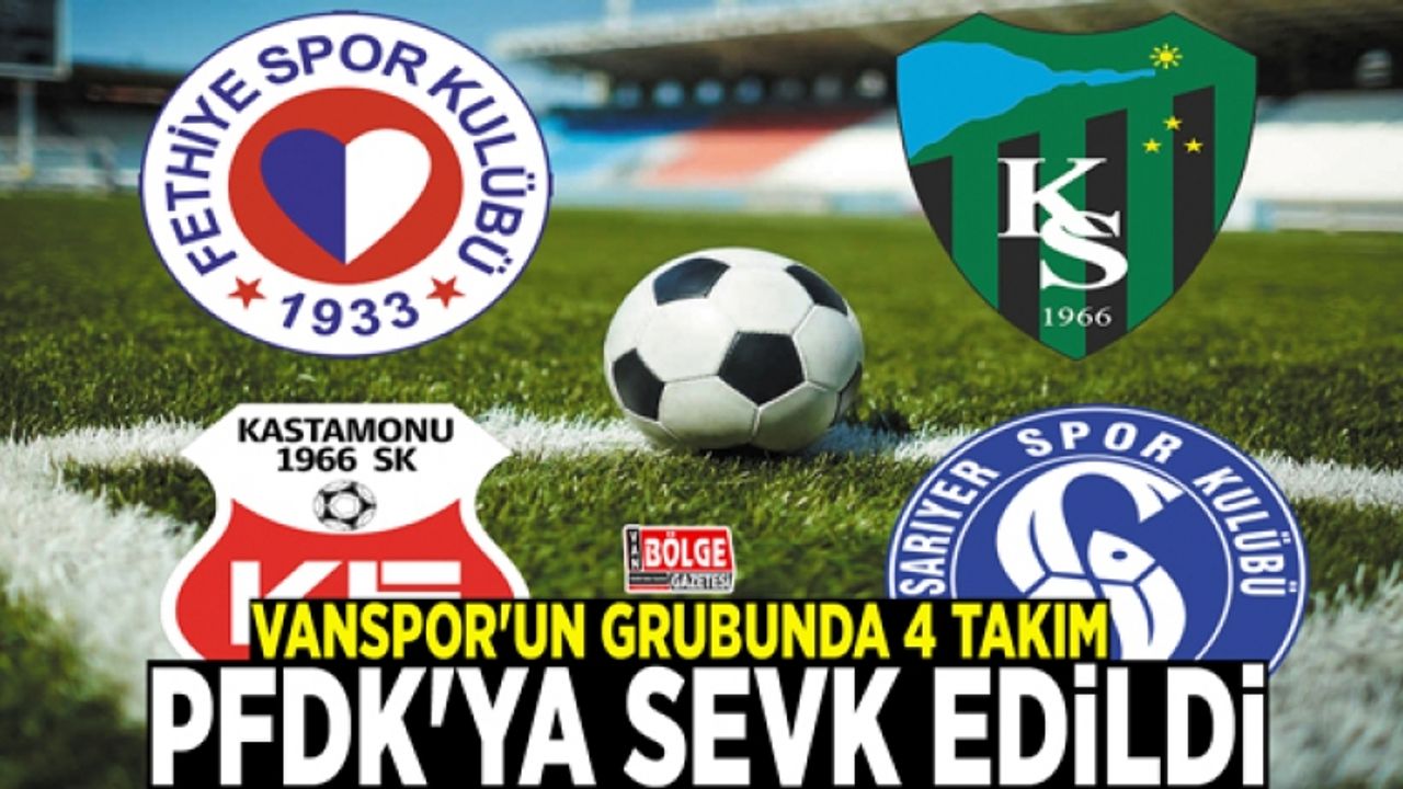 Vanspor'un grubunda 4 takım PFDK'ya sevk edildi