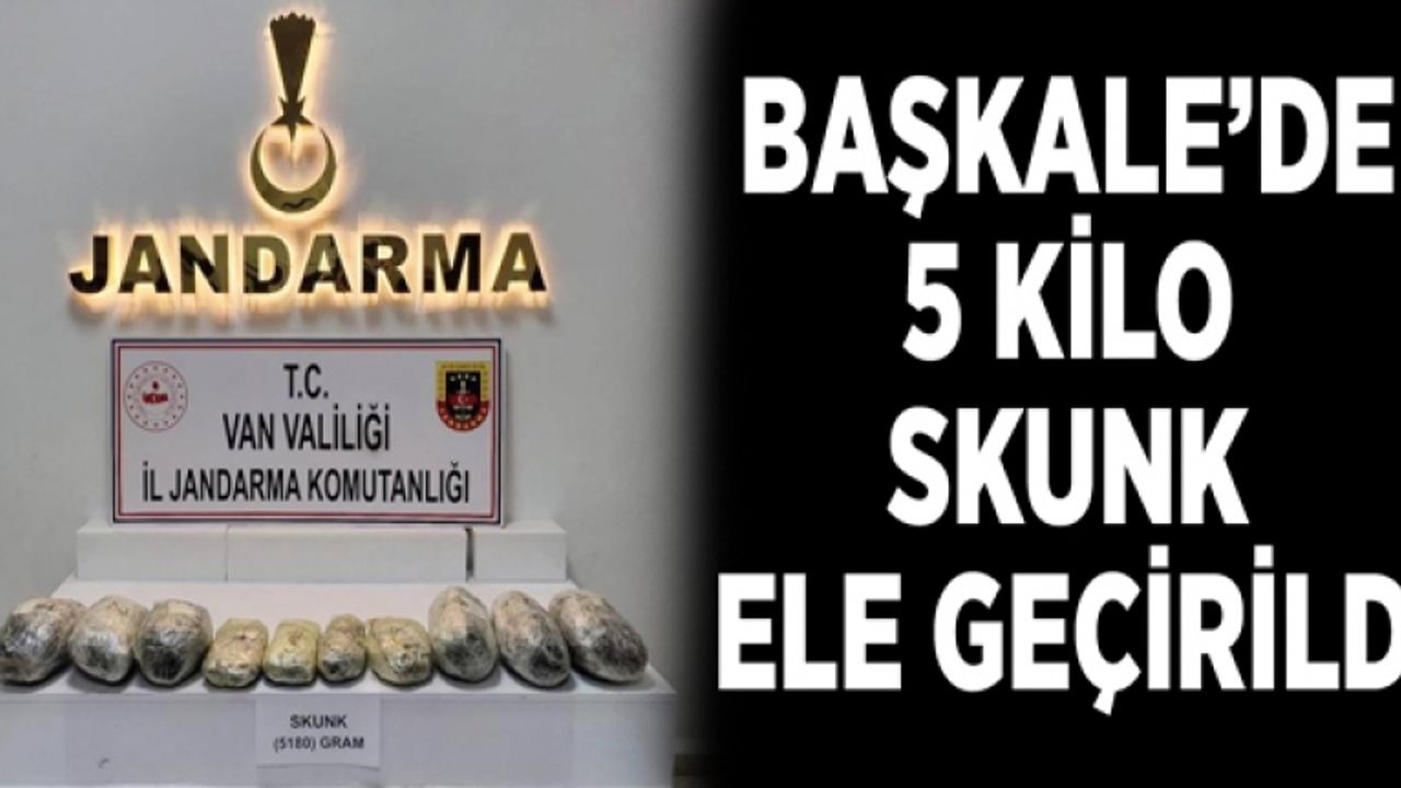 Başkale’de 5 kilo skunk ele geçirildi