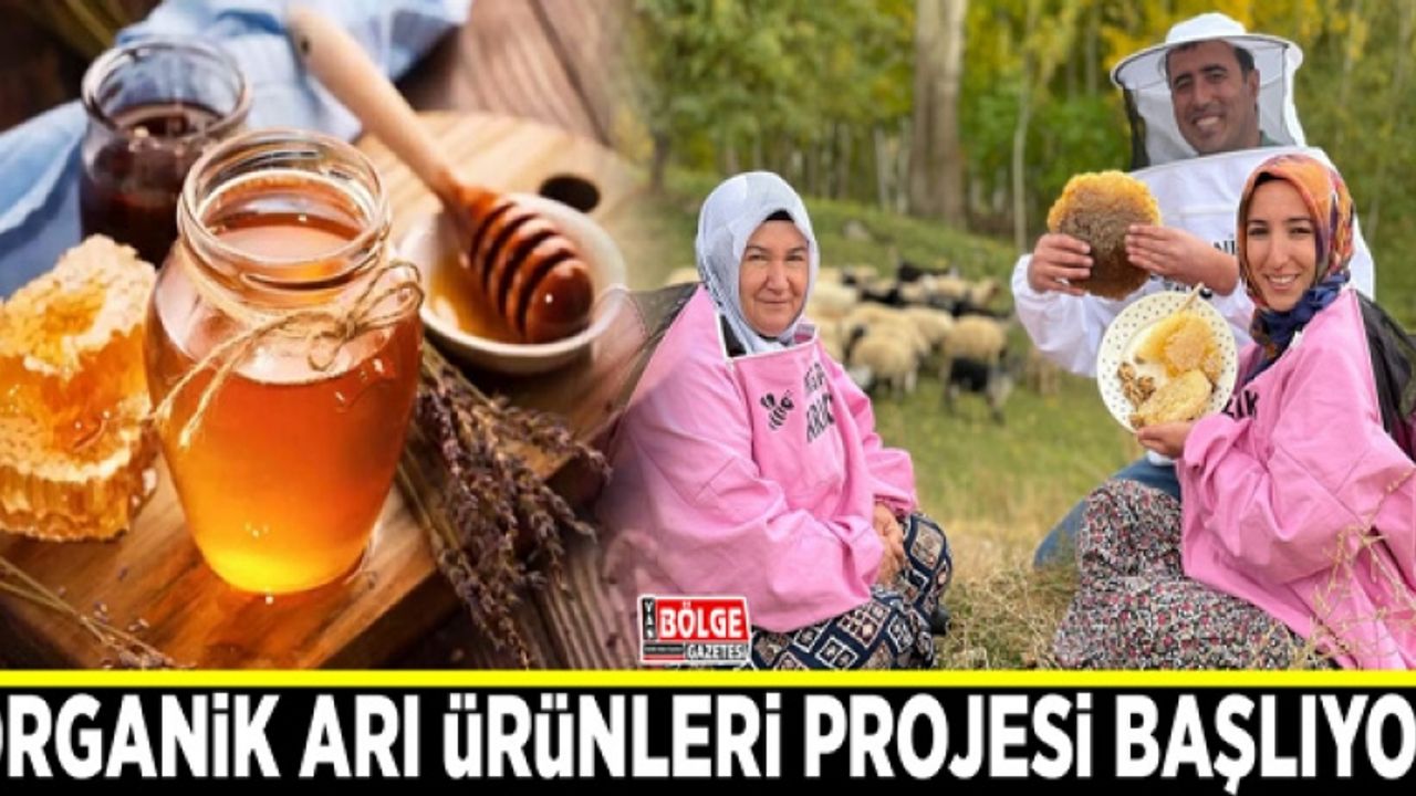 Gevaş ilçesinde organik arı ürünleri projesi başlıyor