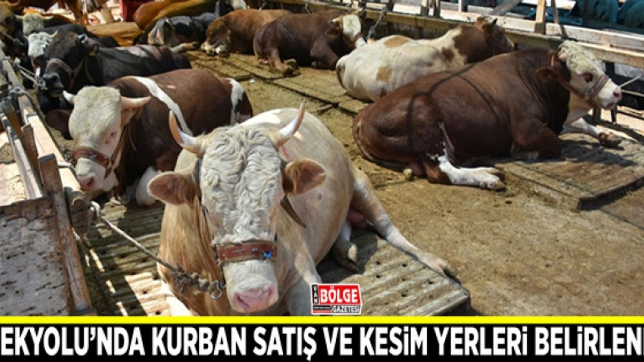 İpekyolu’nda kurban satış ve kesim yerleri belirlendi