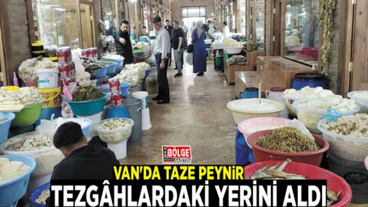 Van'da taze peynir, tezgâhlardaki yerini aldı