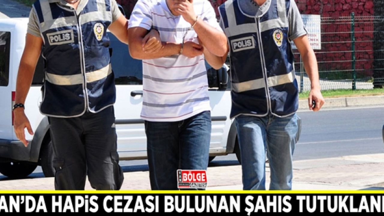 Van'da 12 yıl hapis cezası bulunan şahıs tutuklandı