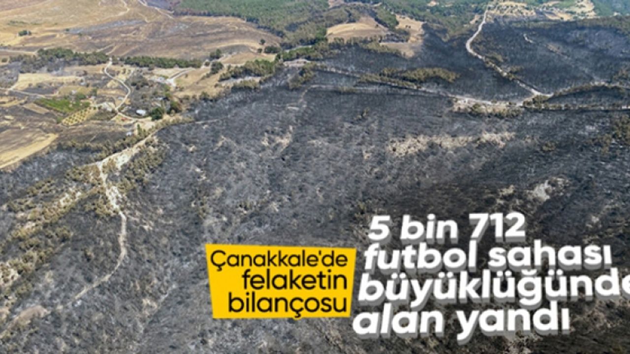 Çanakkale'de yangın kontrol altına alındı! 4 bin 80 hektar alan kül oldu