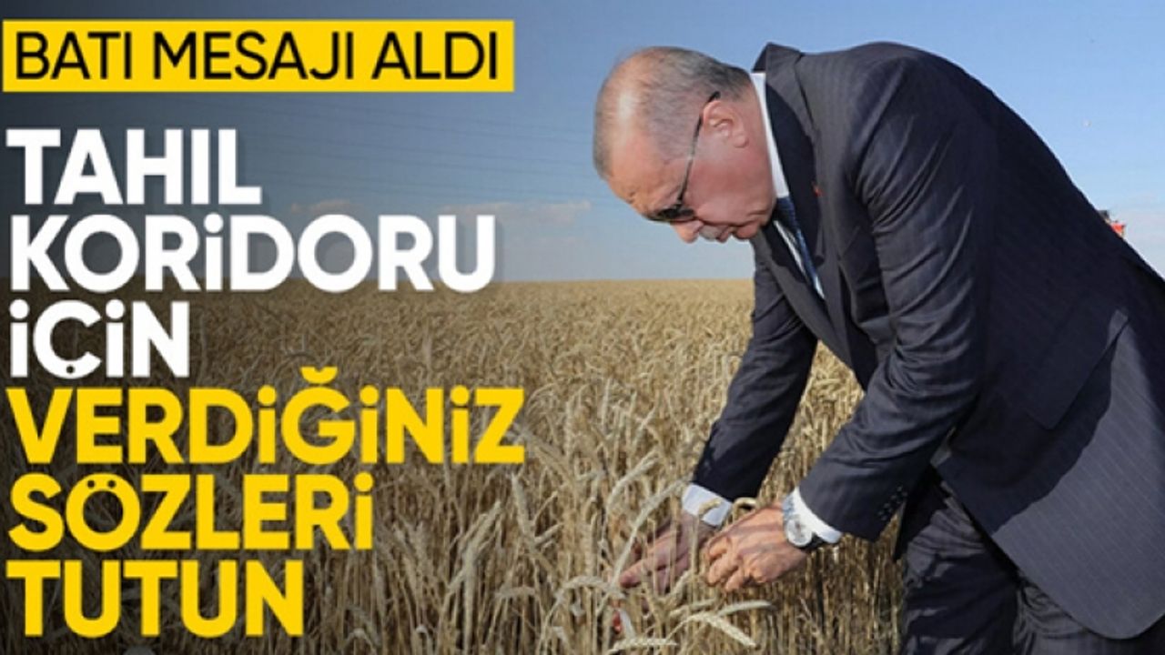 Cumhurbaşkanı Erdoğan'ın tahıl mesajı dünya basınında: Batı sözünü tutmalı