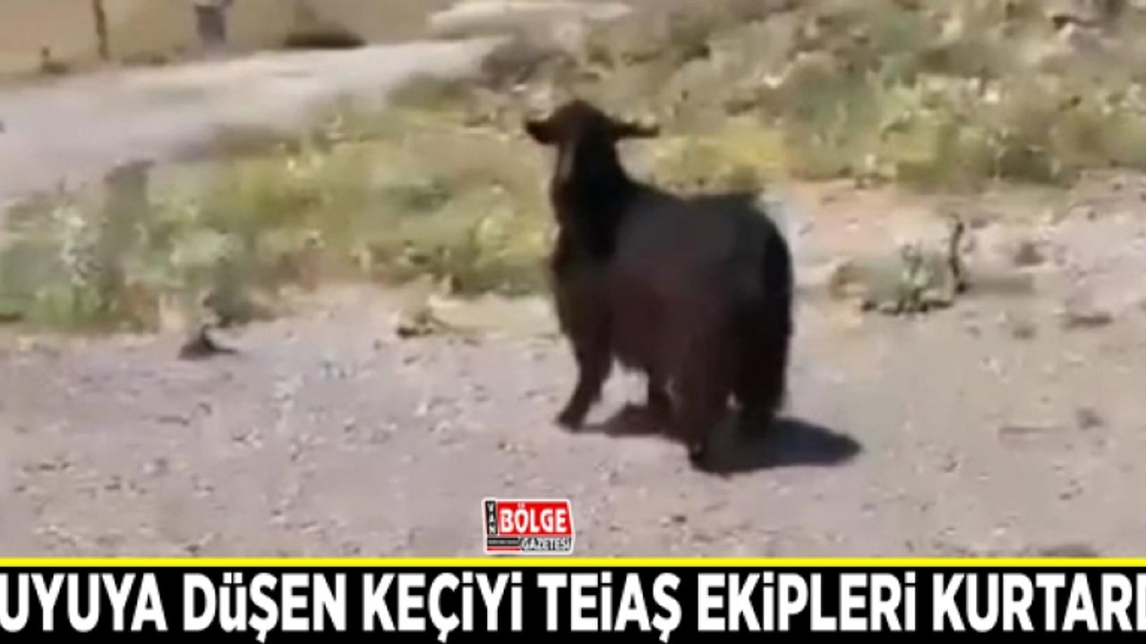 Kuyuya düşen keçiyi TEİAŞ ekipleri kurtardı