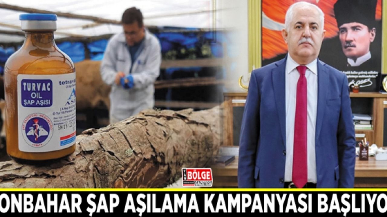 Sonbahar şap aşılama kampanyası başlıyor