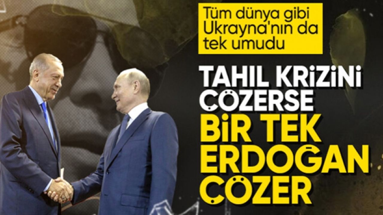 Ukrayna: Cumhurbaşkanı Erdoğan, Karadeniz Tahıl Girişimi'ni tekrar hayata geçirebilir