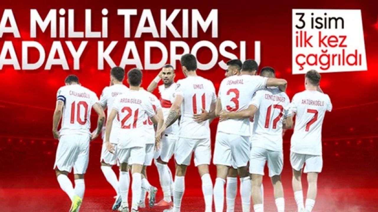 A Milli Takım'ın aday kadrosu belli oldu