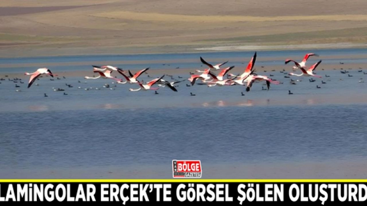 Flamingolar Erçek’te görsel şölen oluşturdu
