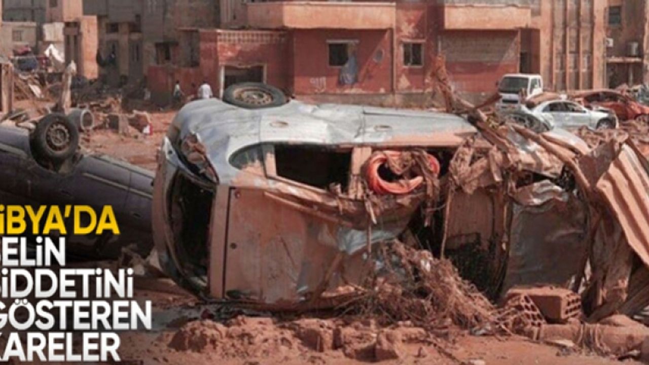 Libya'da selden geriye kalan kareler